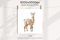 Baby Alpaca Farm Animals Clipart PNG Scrapbooking Nursery Art Image Watercolor  Transparent Print invitation shirt designs sublimation kids printable digital