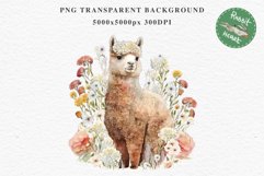 Baby Alpaca Farm Animals Clipart PNG Scrapbooking Nursery Art Image Watercolor  Transparent Print invitation shirt designs sublimation kids printable digital