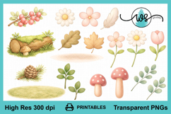 Baby Animal Clipart Bundle, Woodland Nursery PNG Set Product Image 5