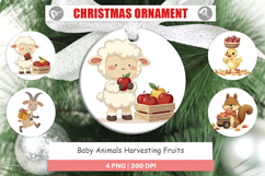 Ornament Fruit Harvest Babies Product Image 1