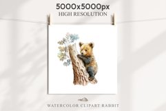 Baby Bear Forest Animals Clipart PNG Scrapbooking Nursery Art Image Watercolor  Transparent Print invitation shirt designs sublimation kids printable digital watercolor baby Bear floral, scrapbooking clipart, sublimation nursery drawing, forest animals