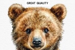 Baby Bear Forest Animals Clipart PNG Scrapbooking Nursery Art Image Watercolor  Transparent Print invitation shirt designs sublimation kids printable digital