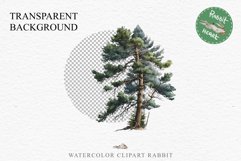 Baby Bear Forest Animals Clipart PNG Scrapbooking Nursery Art Image Watercolor  Transparent Print invitation shirt designs sublimation kids printable digital watercolor baby Bear floral, scrapbooking clipart, sublimation nursery drawing, forest animals
