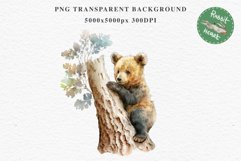 Baby Bear Forest Animals Clipart PNG Scrapbooking Nursery Art Image Watercolor  Transparent Print invitation shirt designs sublimation kids printable digital watercolor baby Bear floral, scrapbooking clipart, sublimation nursery drawing, forest animals