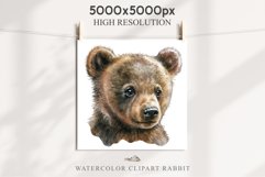Baby Bear Forest Animals Clipart PNG Scrapbooking Nursery Art Image Watercolor  Transparent Print invitation shirt designs sublimation kids printable digital watercolor baby Bear floral, scrapbooking clipart, sublimation nursery drawing, forest animals