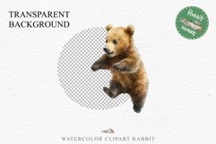 Baby Bear Forest Animals Clipart PNG Scrapbooking Nursery Art Image Watercolor  Transparent Print invitation shirt designs sublimation kids printable digital watercolor baby Bear floral, scrapbooking clipart, sublimation nursery drawing, forest animals