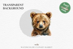 Baby Bear Forest Animals Clipart PNG Scrapbooking Nursery Art Image Watercolor  Transparent Print invitation shirt designs sublimation kids printable digital watercolor baby Bear floral, scrapbooking clipart, sublimation nursery drawing, forest animals