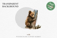 Baby Bear Forest Animals Clipart PNG Scrapbooking Nursery Art Image Watercolor  Transparent Print invitation shirt designs sublimation kids printable digital watercolor baby Bear floral, scrapbooking clipart, sublimation nursery drawing, forest animals