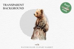 Baby Bear Forest Animals Clipart PNG Scrapbooking Nursery Art Image Watercolor  Transparent Print invitation shirt designs sublimation kids printable digital watercolor baby Bear floral, scrapbooking clipart, sublimation nursery drawing, forest animals