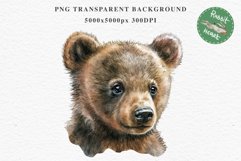 Baby Bear Forest Animals Clipart PNG Scrapbooking Nursery Art Image Watercolor  Transparent Print invitation shirt designs sublimation kids printable digital watercolor baby Bear floral, scrapbooking clipart, sublimation nursery drawing, forest animals