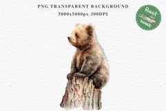 Baby Bear Forest Animals Clipart PNG Scrapbooking Nursery Art Image Watercolor  Transparent Print invitation shirt designs sublimation kids printable digital watercolor baby Bear floral, scrapbooking clipart, sublimation nursery drawing, forest animals