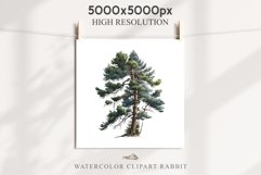 Baby Bear Forest Animals Clipart PNG Scrapbooking Nursery Art Image Watercolor  Transparent Print invitation shirt designs sublimation kids printable digital watercolor baby Bear floral, scrapbooking clipart, sublimation nursery drawing, forest animals
