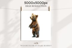 Baby Bear Forest Animals Clipart PNG Scrapbooking Nursery Art Image Watercolor  Transparent Print invitation shirt designs sublimation kids printable digital watercolor baby Bear floral, scrapbooking clipart, sublimation nursery drawing, forest animals