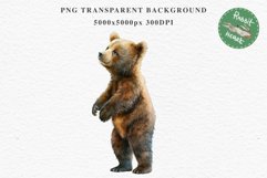 Baby Bear Forest Animals Clipart PNG Scrapbooking Nursery Art Image Watercolor  Transparent Print invitation shirt designs sublimation kids printable digital watercolor baby Bear floral, scrapbooking clipart, sublimation nursery drawing, forest animals