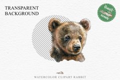 Baby Bear Forest Animals Clipart PNG Scrapbooking Nursery Art Image Watercolor  Transparent Print invitation shirt designs sublimation kids printable digital watercolor baby Bear floral, scrapbooking clipart, sublimation nursery drawing, forest animals