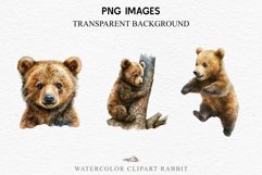 Baby Bear Forest Animals Clipart PNG Scrapbooking Nursery Art Image Watercolor  Transparent Print invitation shirt designs sublimation kids printable digital