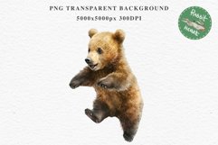 Baby Bear Forest Animals Clipart PNG Scrapbooking Nursery Art Image Watercolor  Transparent Print invitation shirt designs sublimation kids printable digital watercolor baby Bear floral, scrapbooking clipart, sublimation nursery drawing, forest animals