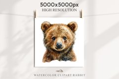 Baby Bear Forest Animals Clipart PNG Scrapbooking Nursery Art Image Watercolor  Transparent Print invitation shirt designs sublimation kids printable digital watercolor baby Bear floral, scrapbooking clipart, sublimation nursery drawing, forest animals