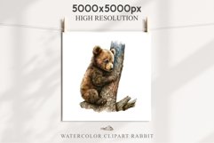 Baby Bear Forest Animals Clipart PNG Scrapbooking Nursery Art Image Watercolor  Transparent Print invitation shirt designs sublimation kids printable digital watercolor baby Bear floral, scrapbooking clipart, sublimation nursery drawing, forest animals