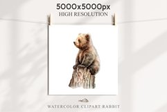 Baby Bear Forest Animals Clipart PNG Scrapbooking Nursery Art Image Watercolor  Transparent Print invitation shirt designs sublimation kids printable digital watercolor baby Bear floral, scrapbooking clipart, sublimation nursery drawing, forest animals