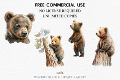 Baby Bear Forest Animals Clipart PNG Scrapbooking Nursery Art Image Watercolor  Transparent Print invitation shirt designs sublimation kids printable digital
