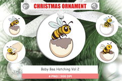 Ornament Hatching Baby Bee Product Image 1