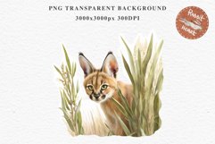 Baby Caracal Safari Animals Clipart Savanna Cats PNG Art Image Watercolor  Transparent Print invitation t-shirt designs sublimation kids printable digital watercolor cute African Baby Caracal, Safari Animals clipart, sublimation nursery drawing Savanna