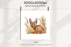 Baby Caracal Safari Animals Clipart Savanna Cats PNG Art Image Watercolor  Transparent Print invitation t-shirt designs sublimation kids printable digital watercolor cute African Baby Caracal, Safari Animals clipart, sublimation nursery drawing Savanna
