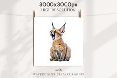 Baby Caracal Safari Animals Clipart Savanna Cats PNG Art Image Watercolor  Transparent Print invitation t-shirt designs sublimation kids printable digital watercolor cute African Baby Caracal, Safari Animals clipart, sublimation nursery drawing Savanna