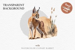 Baby Caracal Safari Animals Clipart Savanna Cats PNG Art Image Watercolor  Transparent Print invitation t-shirt designs sublimation kids printable digital watercolor cute African Baby Caracal, Safari Animals clipart, sublimation nursery drawing Savanna