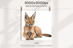Baby Caracal Safari Animals Clipart Savanna Cats PNG Art Image Watercolor  Transparent Print invitation t-shirt designs sublimation kids printable digital watercolor cute African Baby Caracal, Safari Animals clipart, sublimation nursery drawing Savanna