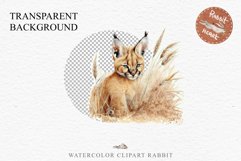 Baby Caracal Safari Animals Clipart Savanna Cats PNG Art Image Watercolor  Transparent Print invitation t-shirt designs sublimation kids printable digital watercolor cute African Baby Caracal, Safari Animals clipart, sublimation nursery drawing Savanna