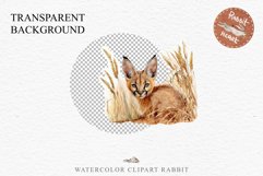 Baby Caracal Safari Animals Clipart Savanna Cats PNG Art Image Watercolor  Transparent Print invitation t-shirt designs sublimation kids printable digital watercolor cute African Baby Caracal, Safari Animals clipart, sublimation nursery drawing Savanna