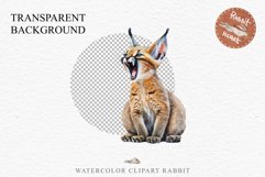 Baby Caracal Safari Animals Clipart Savanna Cats PNG Art Image Watercolor  Transparent Print invitation t-shirt designs sublimation kids printable digital watercolor cute African Baby Caracal, Safari Animals clipart, sublimation nursery drawing Savanna