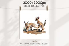 Baby Caracal Safari Animals Clipart Savanna Cats PNG Art Image Watercolor  Transparent Print invitation t-shirt designs sublimation kids printable digital watercolor cute African Baby Caracal, Safari Animals clipart, sublimation nursery drawing Savanna