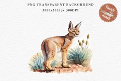 Baby Caracal Safari Animals Clipart Savanna Cats PNG Art Image Watercolor  Transparent Print invitation t-shirt designs sublimation kids printable digital watercolor cute African Baby Caracal, Safari Animals clipart, sublimation nursery drawing Savanna