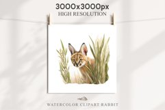 Baby Caracal Safari Animals Clipart Savanna Cats PNG Art Image Watercolor  Transparent Print invitation t-shirt designs sublimation kids printable digital watercolor cute African Baby Caracal, Safari Animals clipart, sublimation nursery drawing Savanna