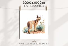 Baby Caracal Safari Animals Clipart Savanna Cats PNG Art Image Watercolor  Transparent Print invitation t-shirt designs sublimation kids printable digital watercolor cute African Baby Caracal, Safari Animals clipart, sublimation nursery drawing Savanna