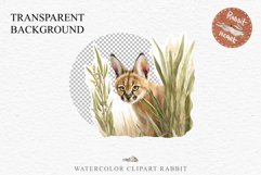 Baby Caracal Safari Animals Clipart Savanna Cats PNG Art Image Watercolor  Transparent Print invitation t-shirt designs sublimation kids printable digital watercolor cute African Baby Caracal, Safari Animals clipart, sublimation nursery drawing Savanna