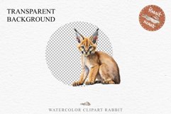 Baby Caracal Safari Animals Clipart Savanna Cats PNG Art Image Watercolor  Transparent Print invitation t-shirt designs sublimation kids printable digital watercolor cute African Baby Caracal, Safari Animals clipart, sublimation nursery drawing Savanna