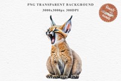 Baby Caracal Safari Animals Clipart Savanna Cats PNG Art Image Watercolor  Transparent Print invitation t-shirt designs sublimation kids printable digital watercolor cute African Baby Caracal, Safari Animals clipart, sublimation nursery drawing Savanna