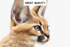 watercolor cute African Baby Caracal, Safari Animals clipart, sublimation nursery drawing Savanna Baby Caracal Safari Animals Clipart Savanna Cats PNG Art Image Watercolor  Transparent Print invitation t-shirt designs sublimation kids printable digital