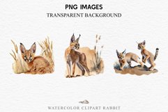 watercolor cute African Baby Caracal, Safari Animals clipart, sublimation nursery drawing Savanna Baby Caracal Safari Animals Clipart Savanna Cats PNG Art Image Watercolor  Transparent Print invitation t-shirt designs sublimation kids printable digital