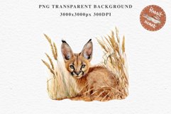 Baby Caracal Safari Animals Clipart Savanna Cats PNG Art Image Watercolor  Transparent Print invitation t-shirt designs sublimation kids printable digital watercolor cute African Baby Caracal, Safari Animals clipart, sublimation nursery drawing Savanna