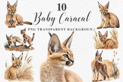 watercolor cute African Baby Caracal, Safari Animals clipart, sublimation nursery drawing Savanna Baby Caracal Safari Animals Clipart Savanna Cats PNG Art Image Watercolor  Transparent Print invitation t-shirt designs sublimation kids printable digital