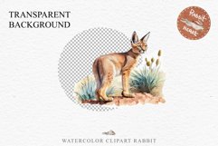 Baby Caracal Safari Animals Clipart Savanna Cats PNG Art Image Watercolor  Transparent Print invitation t-shirt designs sublimation kids printable digital watercolor cute African Baby Caracal, Safari Animals clipart, sublimation nursery drawing Savanna