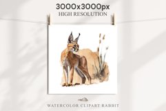 Baby Caracal Safari Animals Clipart Savanna Cats PNG Art Image Watercolor  Transparent Print invitation t-shirt designs sublimation kids printable digital watercolor cute African Baby Caracal, Safari Animals clipart, sublimation nursery drawing Savanna