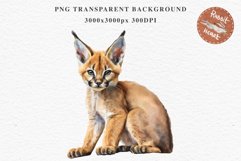 Baby Caracal Safari Animals Clipart Savanna Cats PNG Art Image Watercolor  Transparent Print invitation t-shirt designs sublimation kids printable digital watercolor cute African Baby Caracal, Safari Animals clipart, sublimation nursery drawing Savanna
