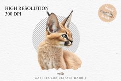 watercolor cute African Baby Caracal, Safari Animals clipart, sublimation nursery drawing Savanna Baby Caracal Safari Animals Clipart Savanna Cats PNG Art Image Watercolor  Transparent Print invitation t-shirt designs sublimation kids printable digital