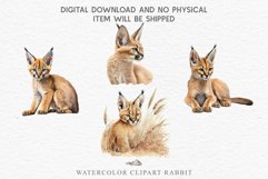 watercolor cute African Baby Caracal, Safari Animals clipart, sublimation nursery drawing Savanna Baby Caracal Safari Animals Clipart Savanna Cats PNG Art Image Watercolor  Transparent Print invitation t-shirt designs sublimation kids printable digital